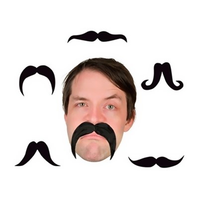 Pala Bıyık Kalın, Şekil Alabilir Bıyık