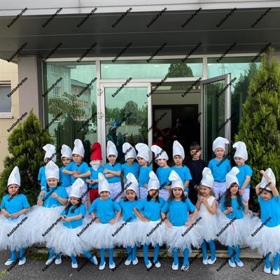 Şirinler Kostüm Seti, Şirin Mavi Tshirt ve Şirin Şapkası