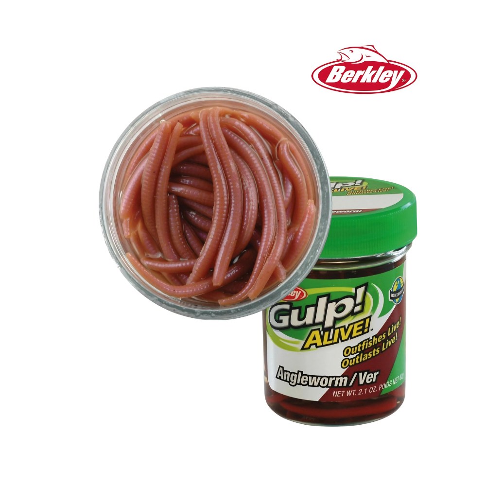 Berkley Gulp Alive Angle Worm Sahte Kurt
