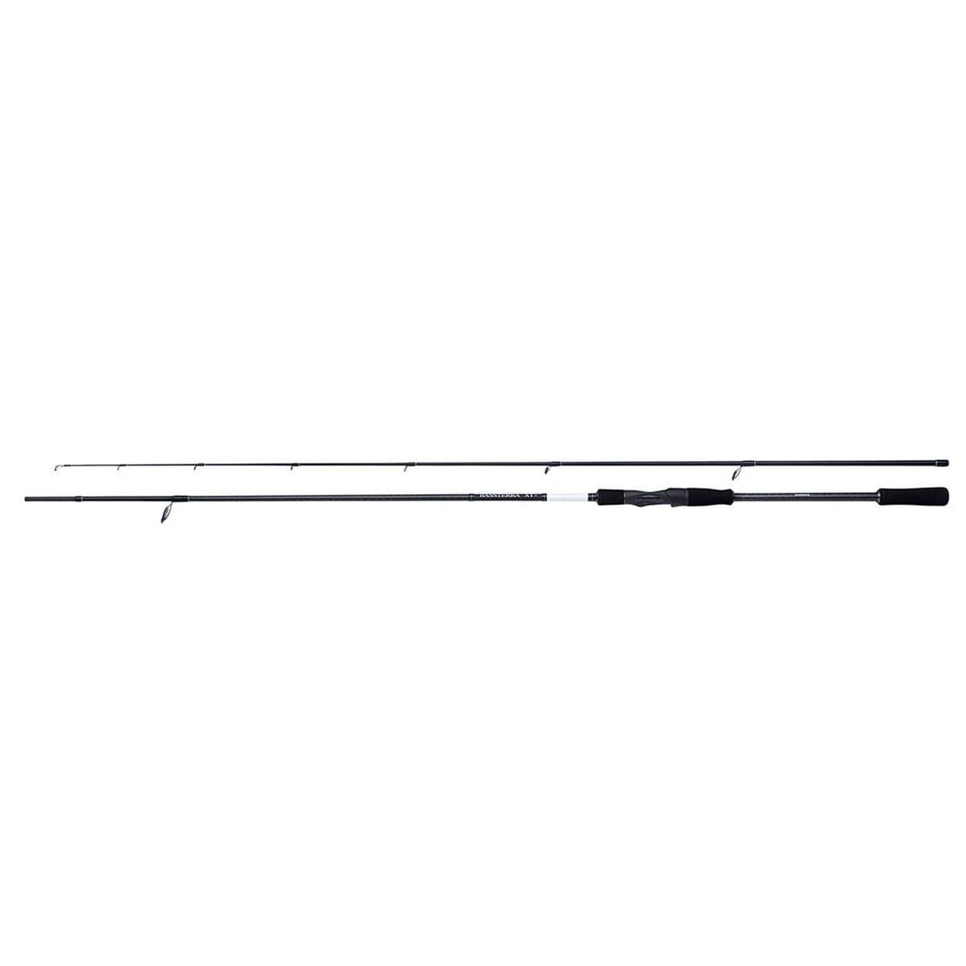 Shimano Bassterra XT+ Spin Sea Bass 2,44m 8'0