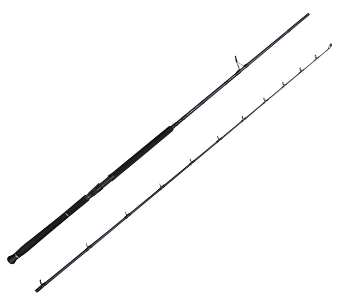 Savage Gear Defiance SG2 Shore Jig 2.90m 20-80gr 2 Parça Olta Kamışı