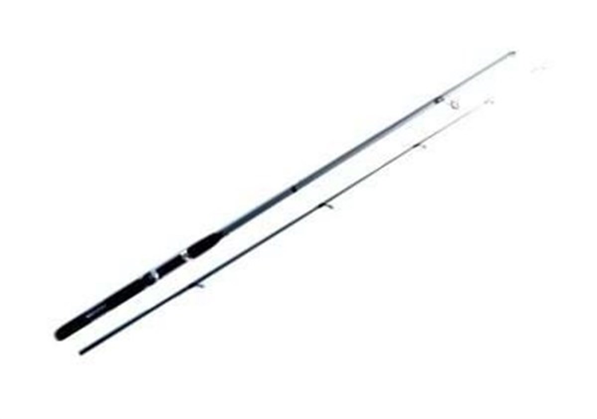 PURE SPIN 10-30G 240CM 2P KAMIŞ