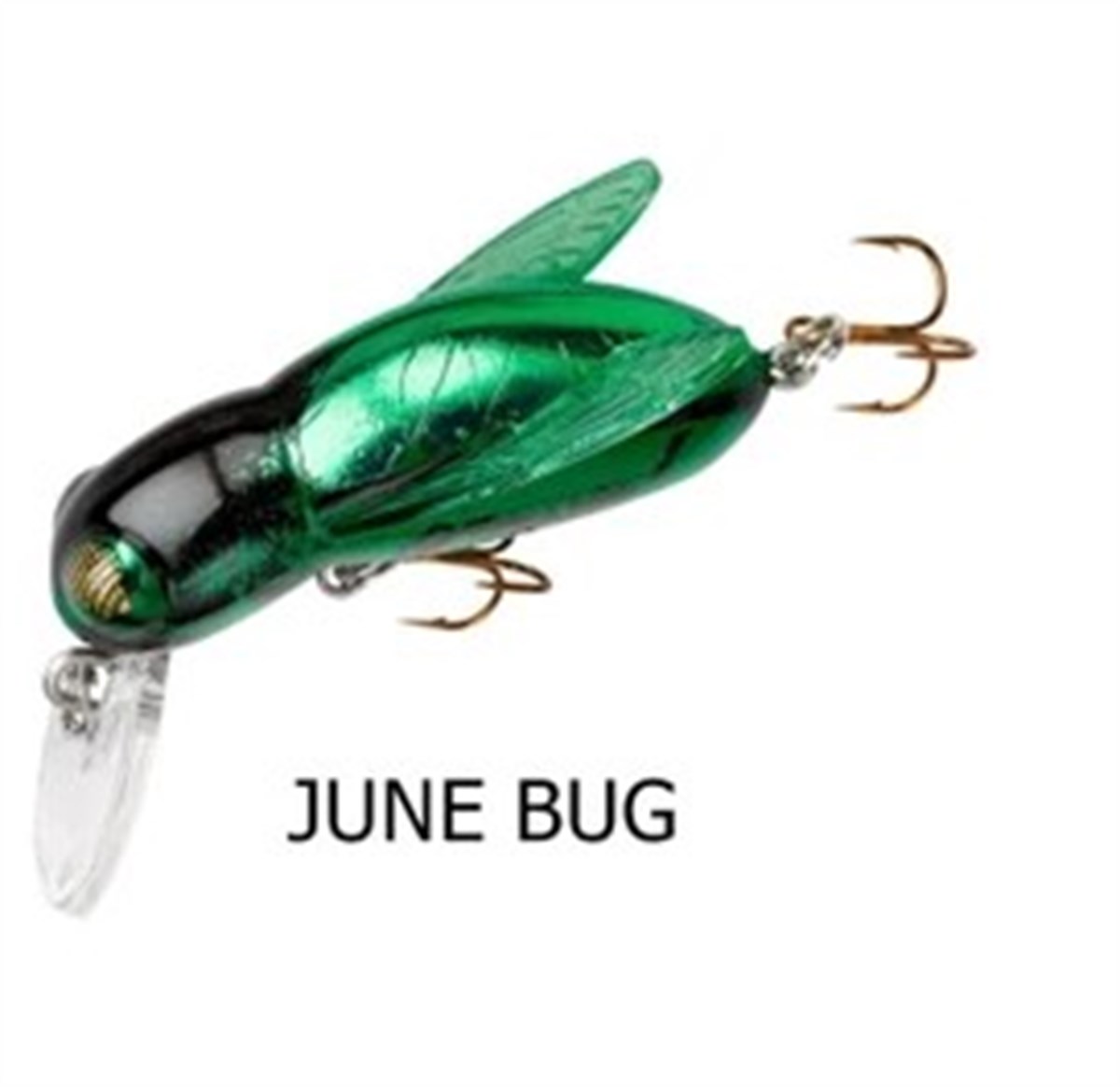 Rebel Bumble Bug Bumble Bee Arı Suni Yem