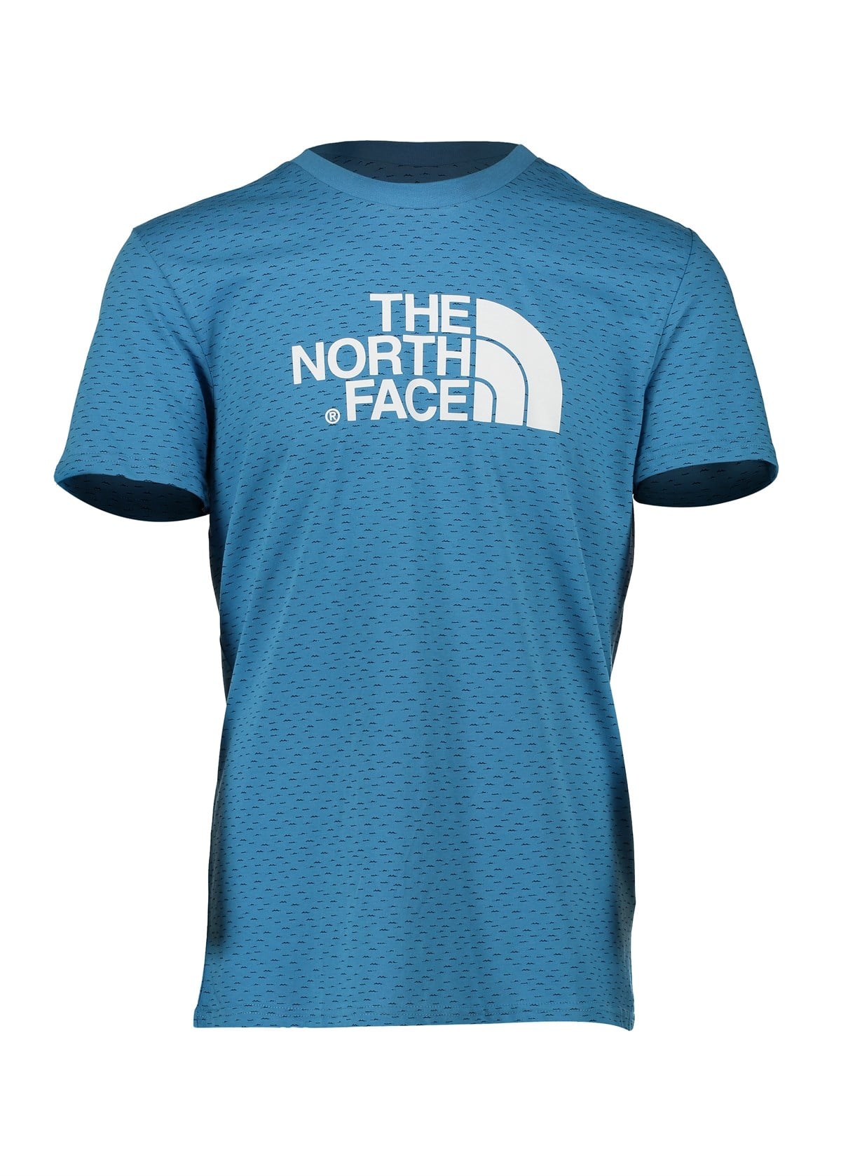 The North Face S/S Easy Tee - Cendre Blue Erkek Tişört