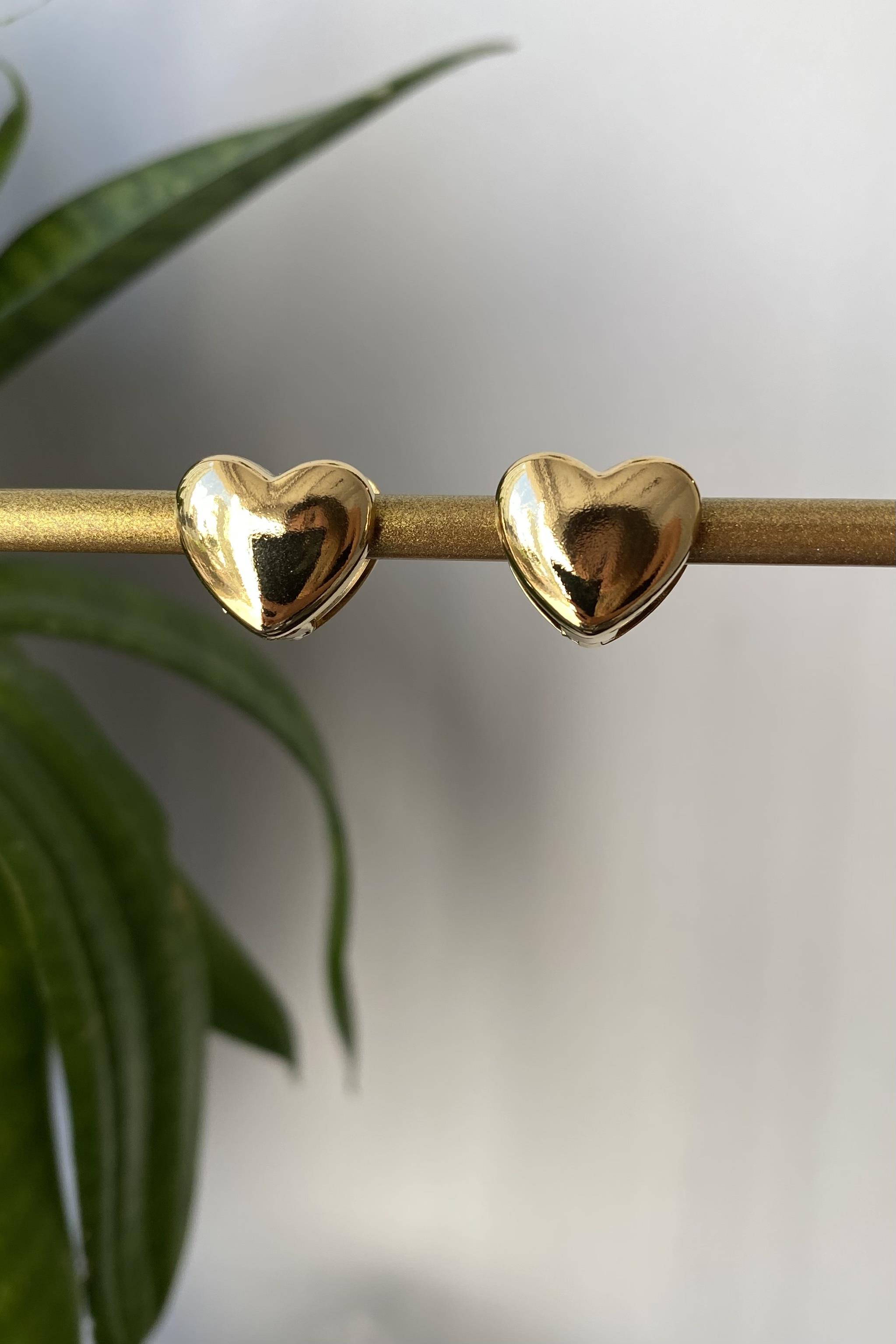 ÇELİK KALP KAPAMA HALKA KÜPE