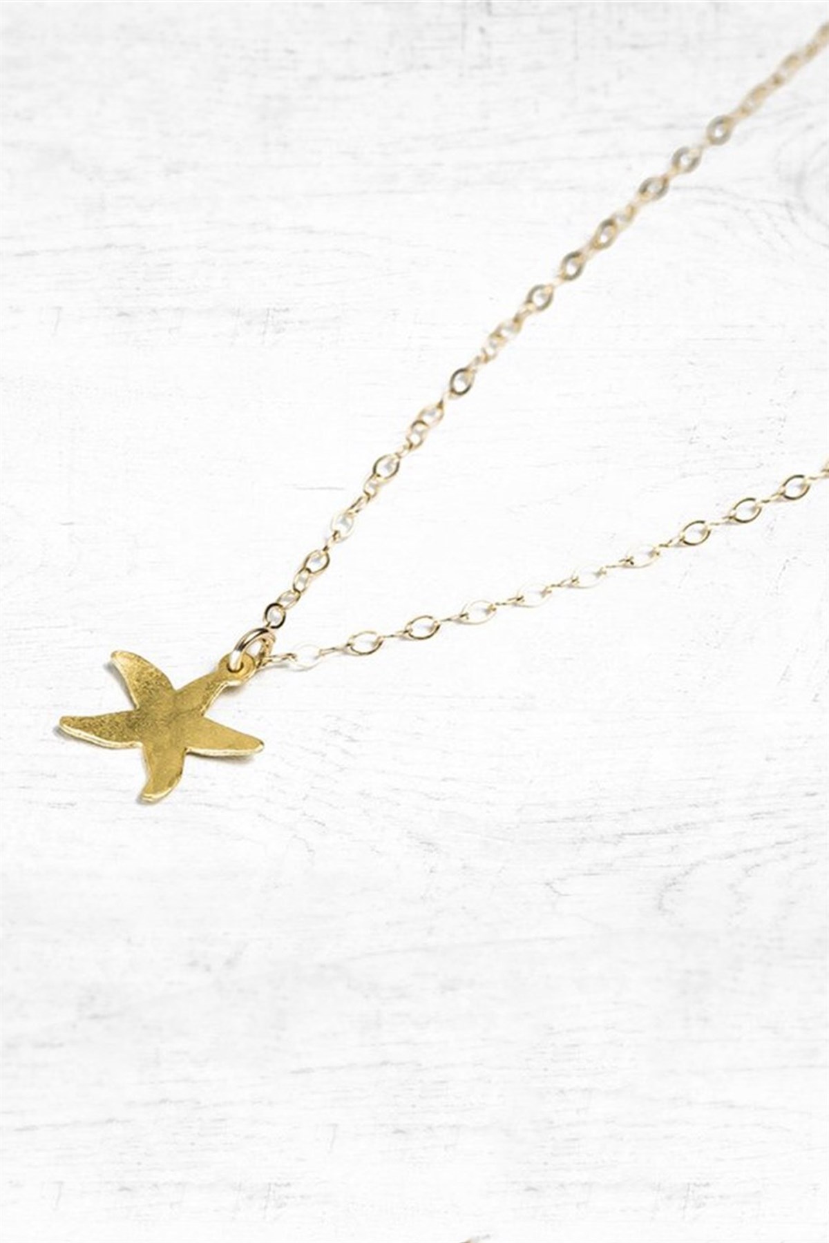 DENİZ YILDIZI 2 KOLYE - AK0258