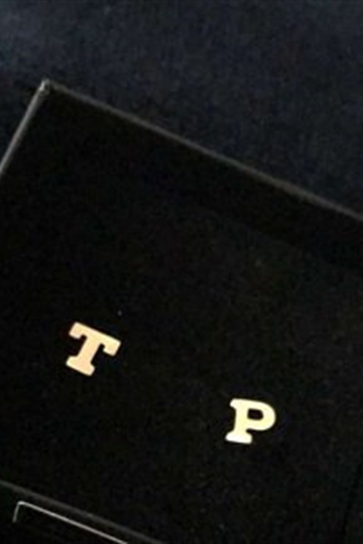 HARF  İĞNELİ KÜPE - AK0295