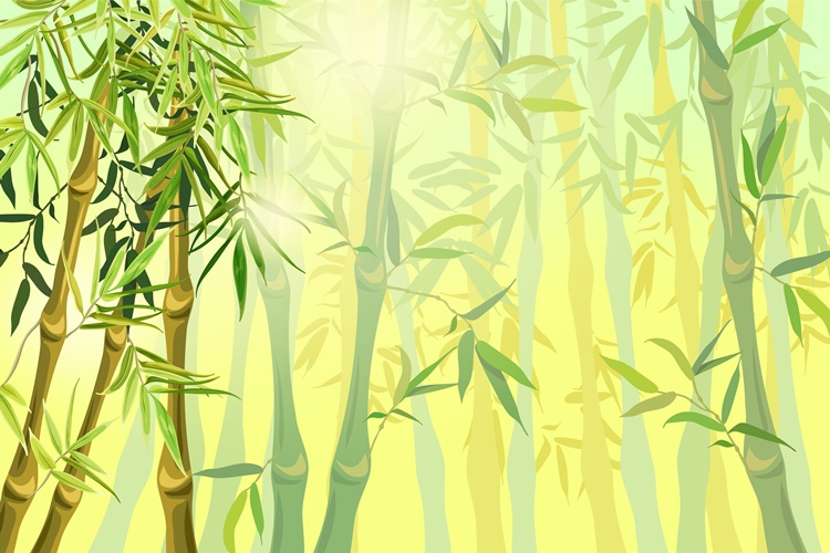 Bambu Kumaş Nedir? Faydaları Nelerdir?