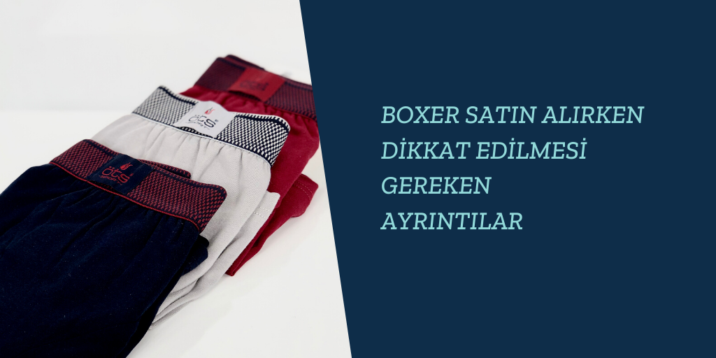 Boxer Satın Alırken Nelere Dikkat Edilmelidir?