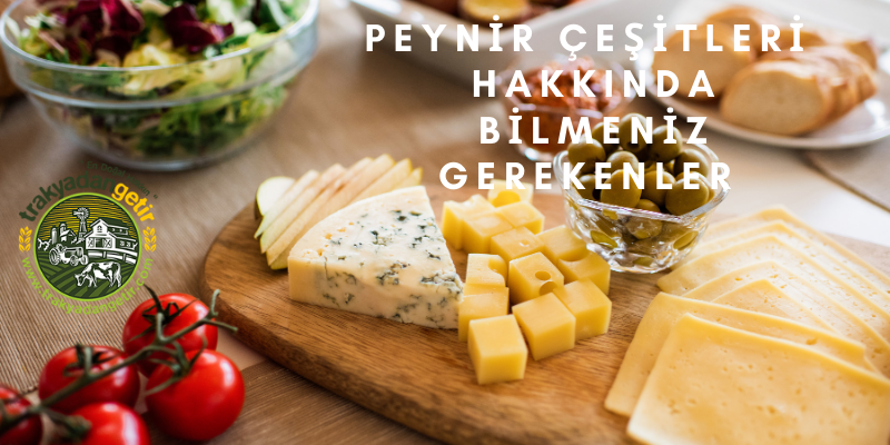 Peynir Çeşitleri Hakkında Bilmeniz Gerekenler