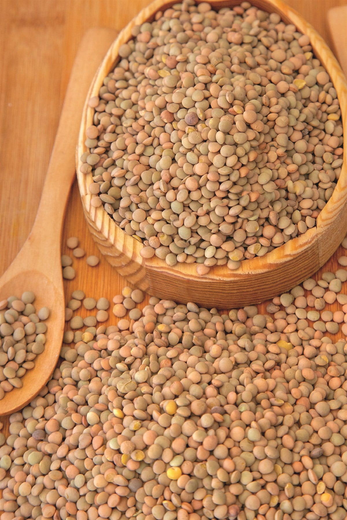 Yerli Yeşil Mercimek Trakya