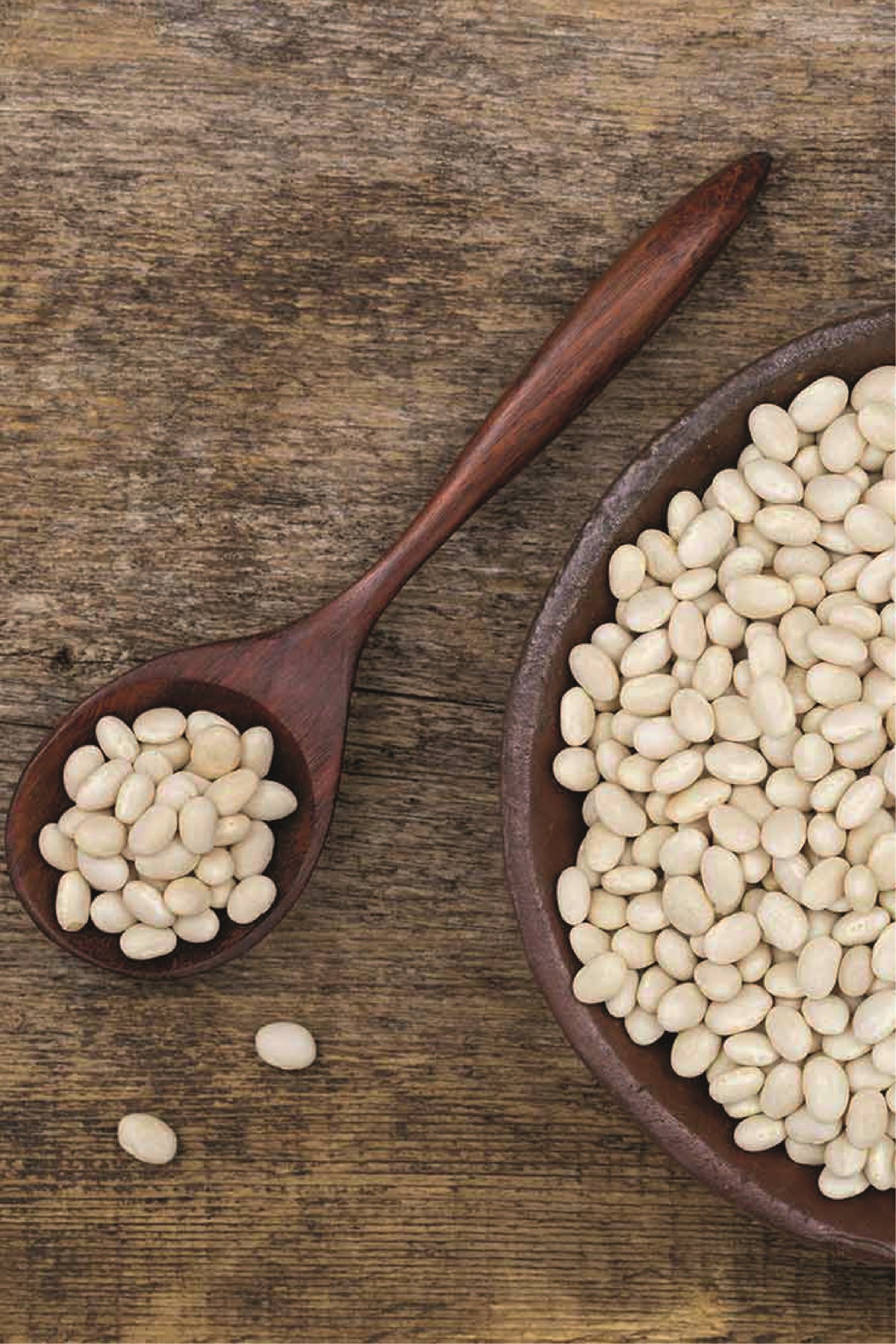 Yerli Fasulye Trakya