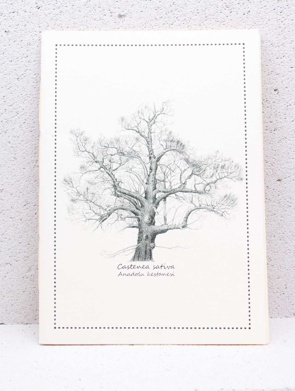 ÇİZGİSİZ DEFTER
