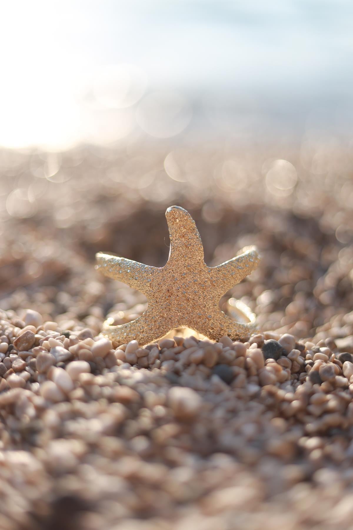 Deniz Yıldızı Bileklik