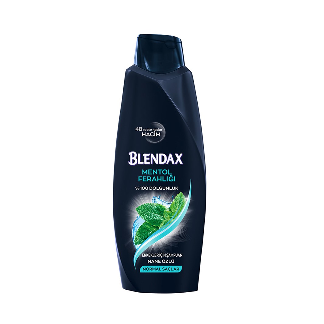 Blendax Şampuan Erkekler İçin Mentollü 500 ml