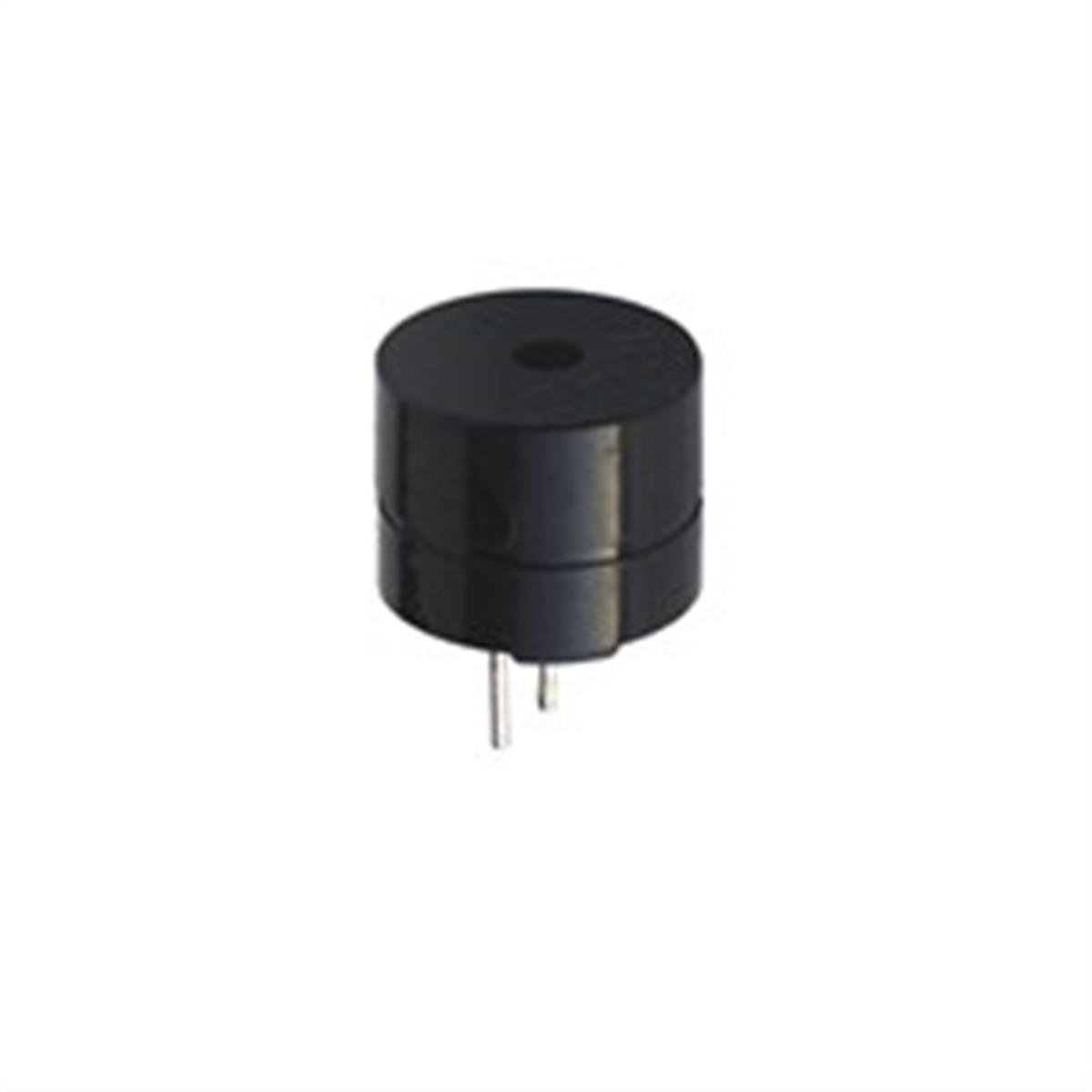ic-219-buzzer-12-volt-12mm-devreli--b2cc-.jpg