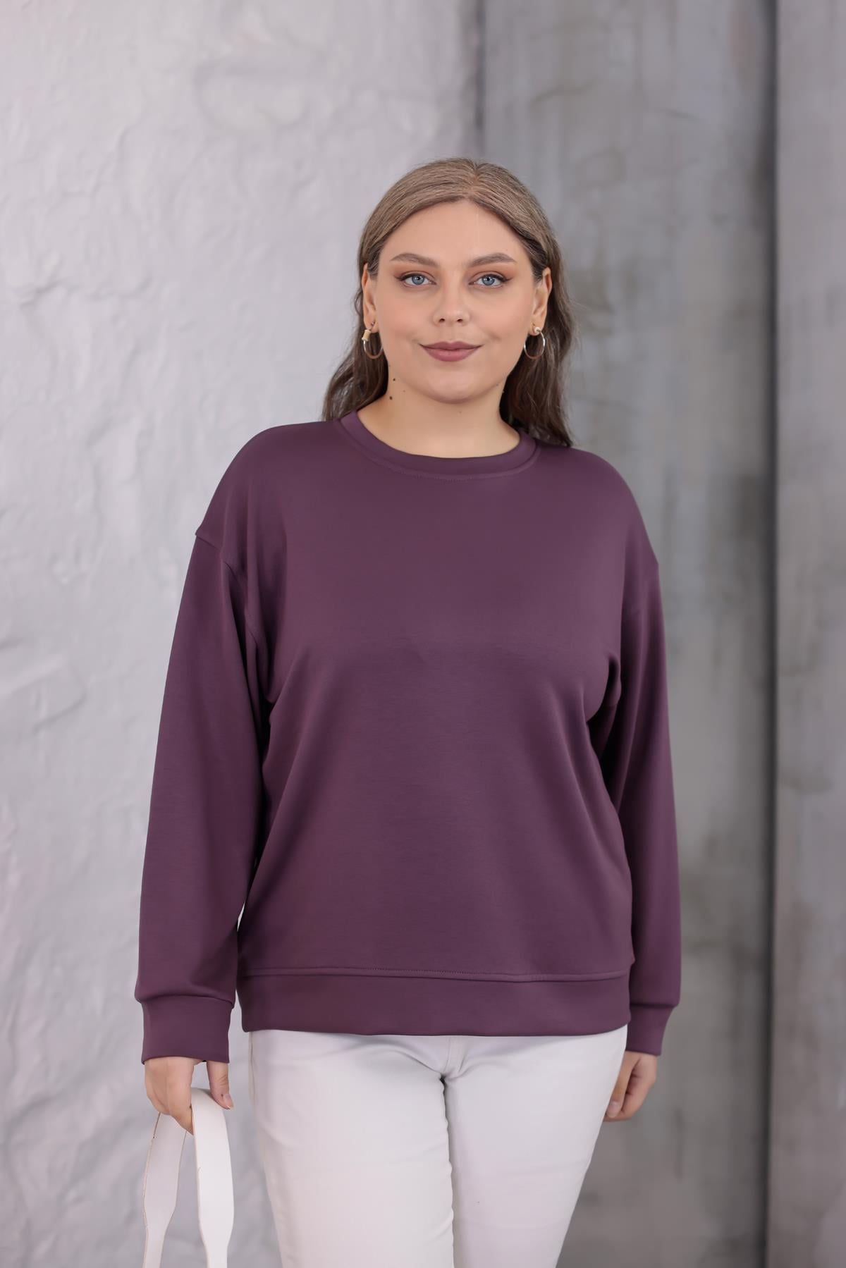 Sweatshirt Büyük Beden Bisiklet Yaka Basıc Sweatshirt