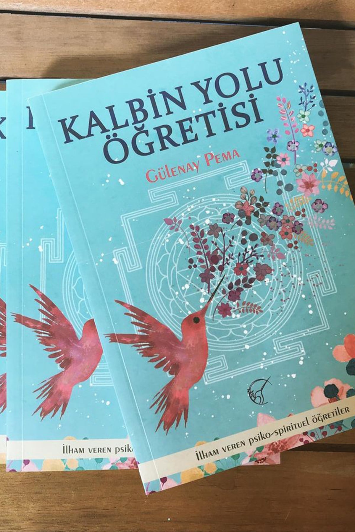 Kalbin Yolu Öğretisi - Gülenay Pema