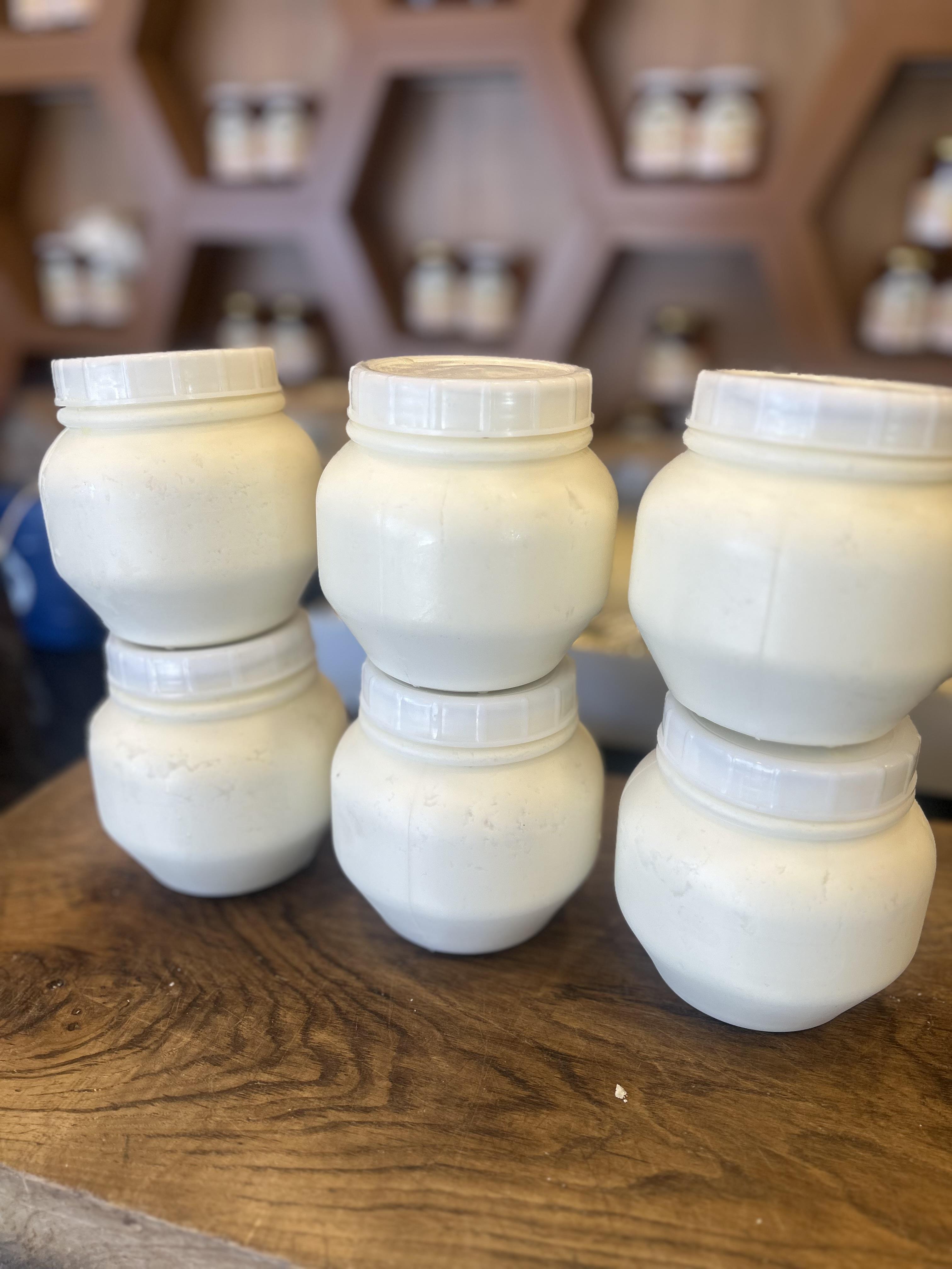 Erzincan Tulum Peyniri Bidon Koyun Sütü 1 Kg
