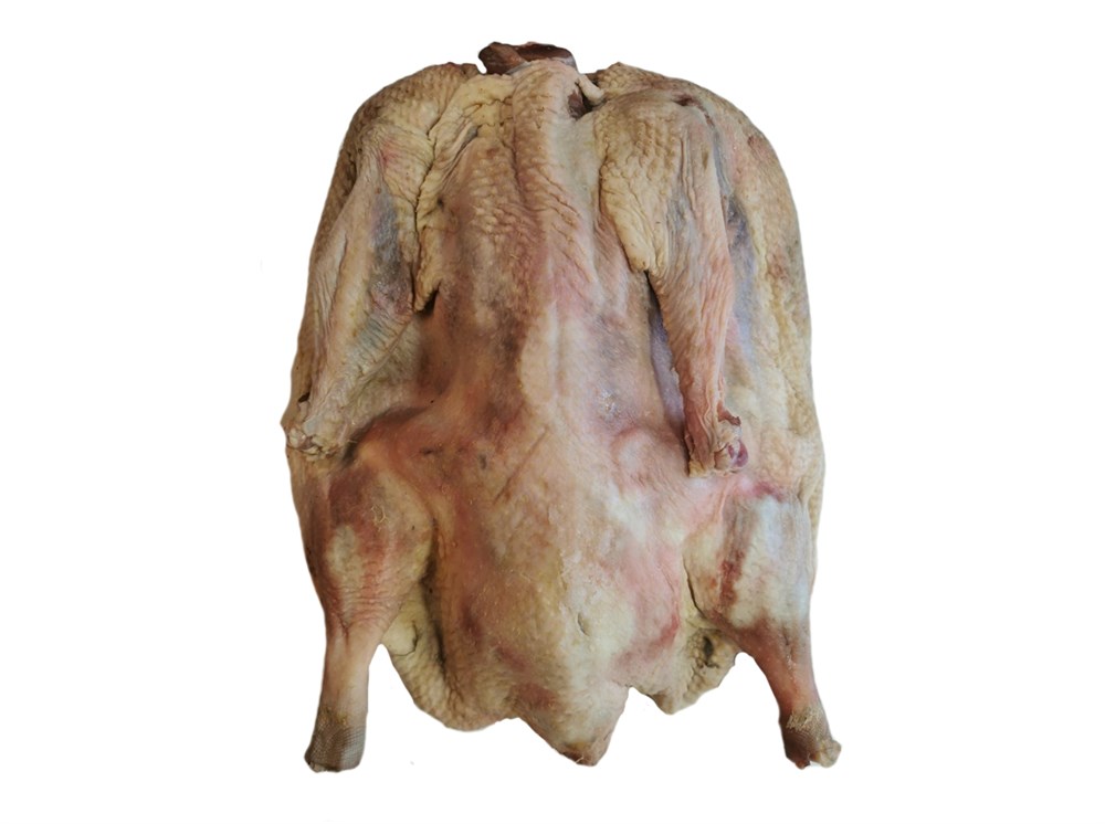 Kurutulmamış Kars Kazı 2 Kg İle 2,600 Kg Arası