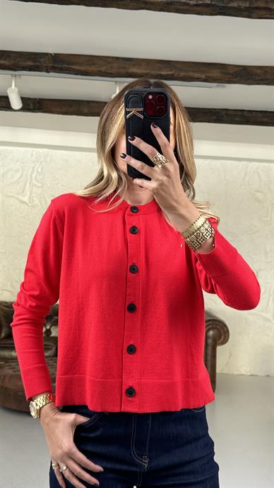 Bisiklet Yaka Kırmızı Düğmeli İnce Hırka