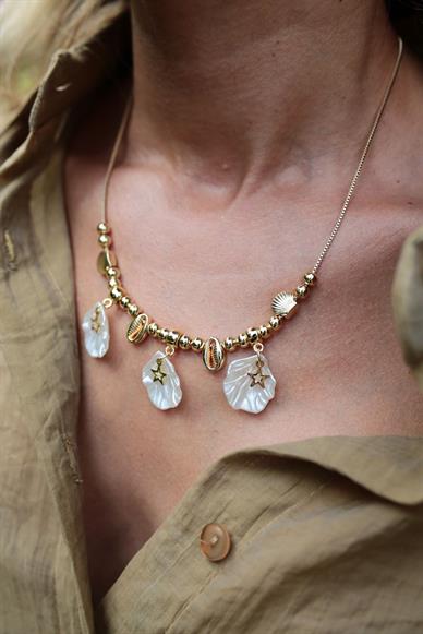 Midye Kabuklu Gold Kolye