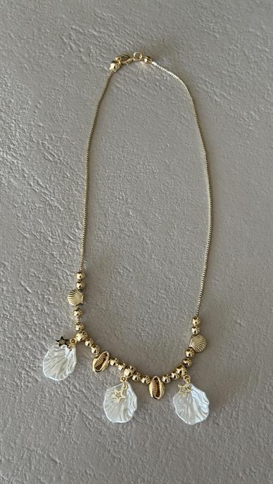 Midye Kabuklu Gold Kolye