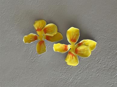 Sarı Metal Papatya Küpe