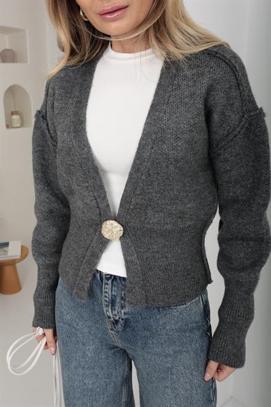 Tek Gold Düğmeli Füme Hırka