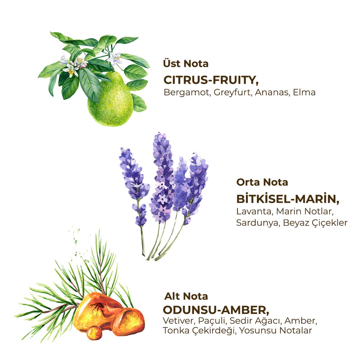 ROLL ON DEODORANT-AKTİF (ERKEK) 75 ML