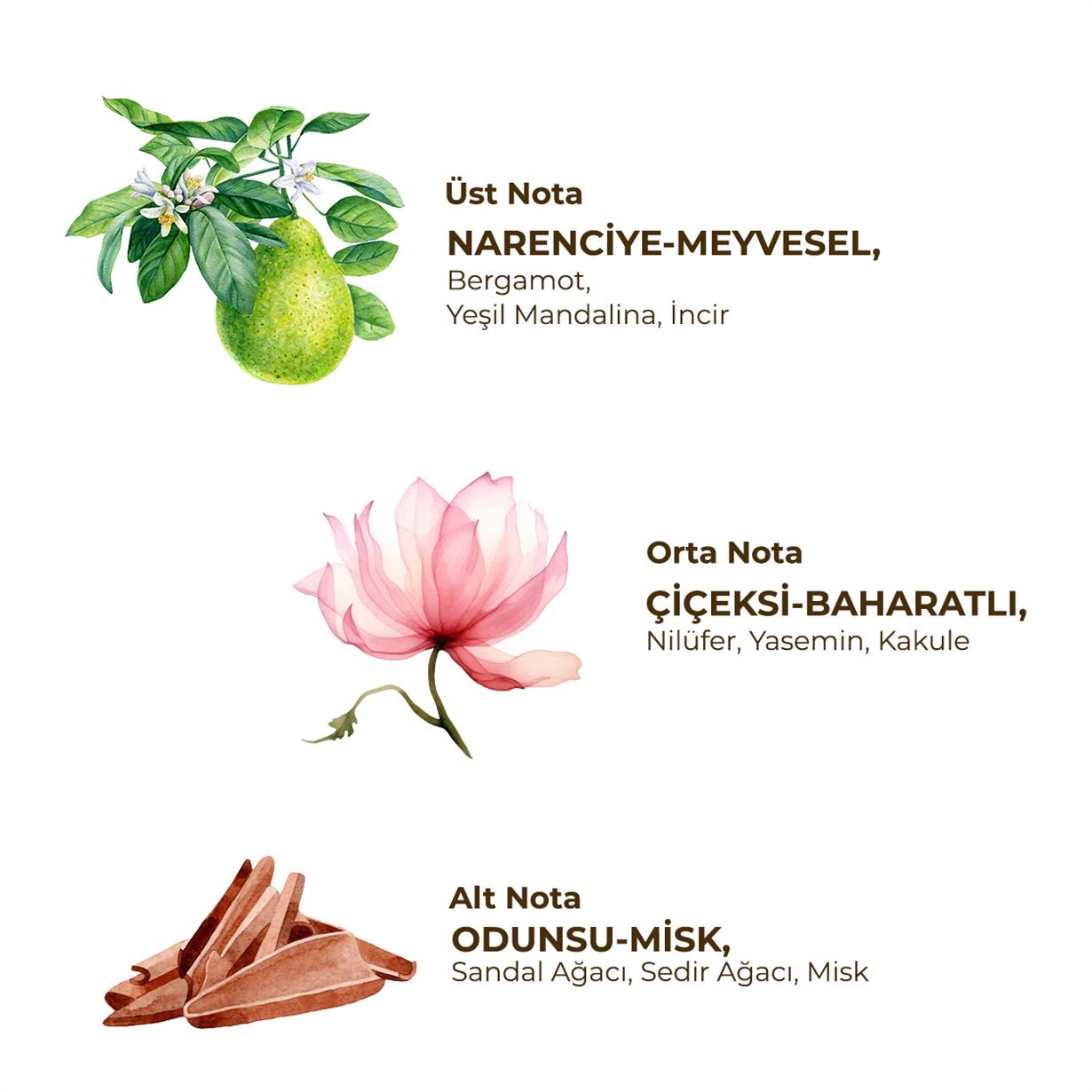 ROLL ON DEODORANT-AKTİF (KADIN) 75 ML