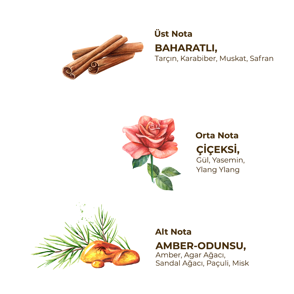 Amboudest Oud Parfümlü Kolonya 100 ml - Cam Şişe