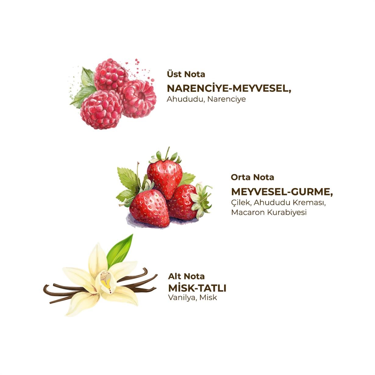 ARTISAN DOĞAL ZEYTİNYAĞLI SIVI SABUN-MACARON 600 ML