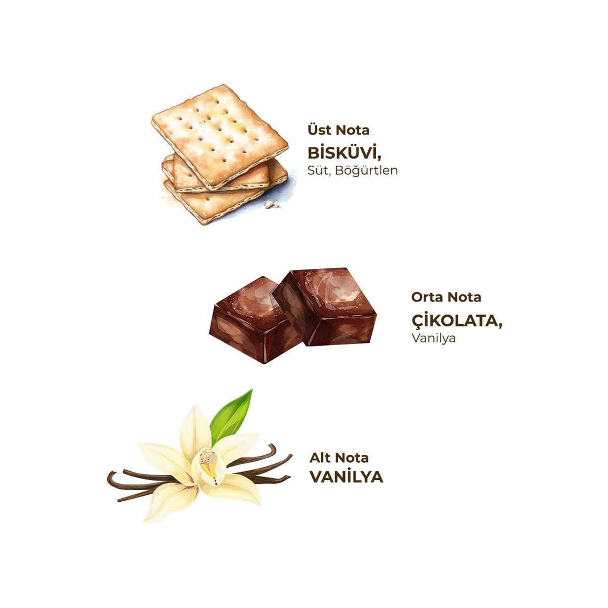 ARTISAN DOĞAL ZEYTİNYAĞLI SIVI SABUN-MUFFIN 600 ML