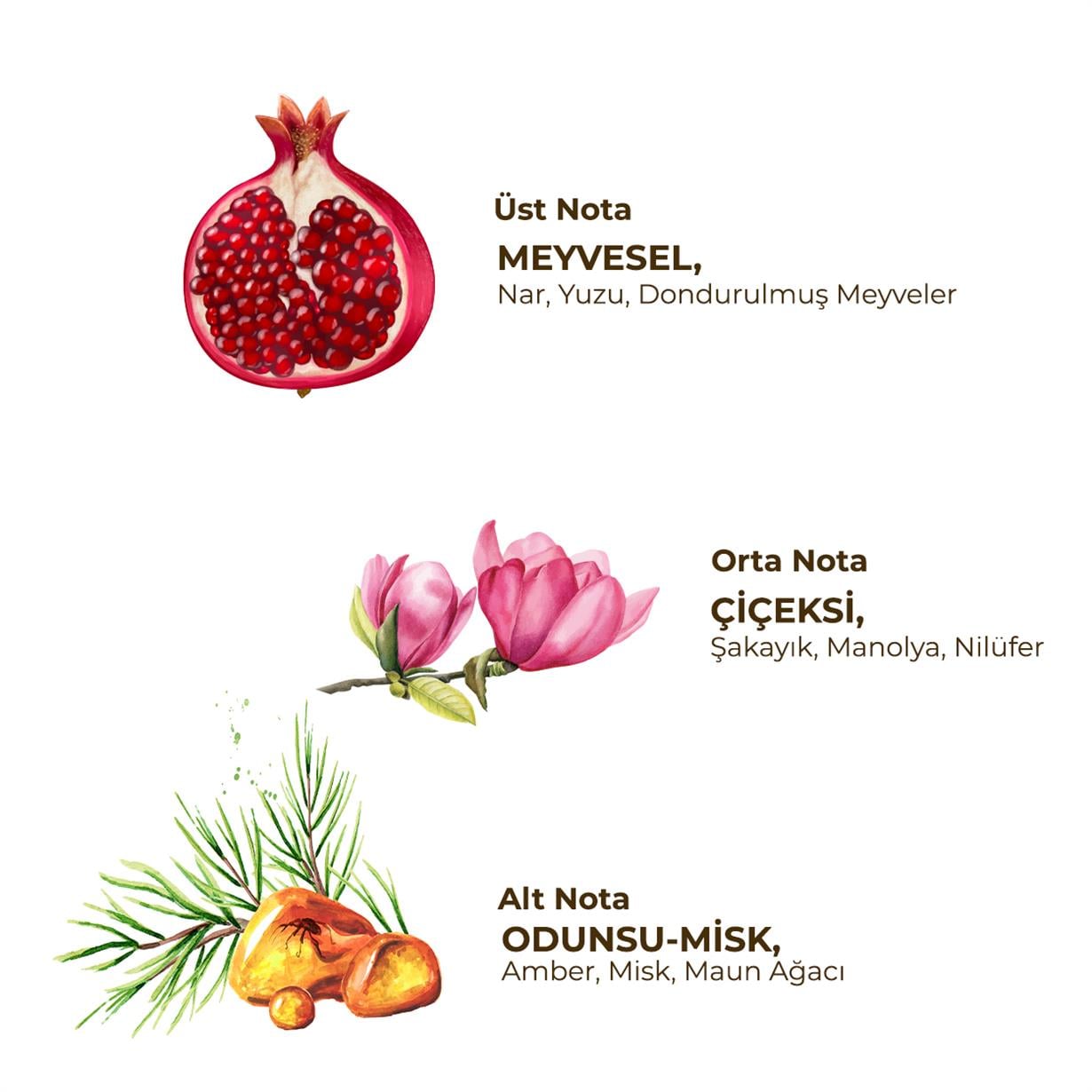 Floral - Kadın Roll On Deodorant 75 ml