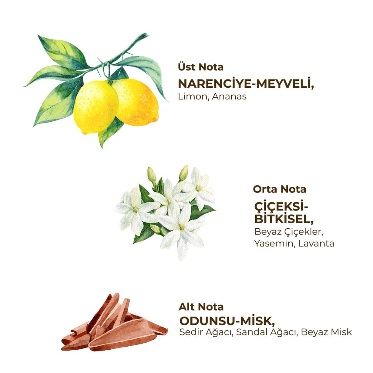 ROLL ON DEODORANT-FRESH (KADIN) 75 ML