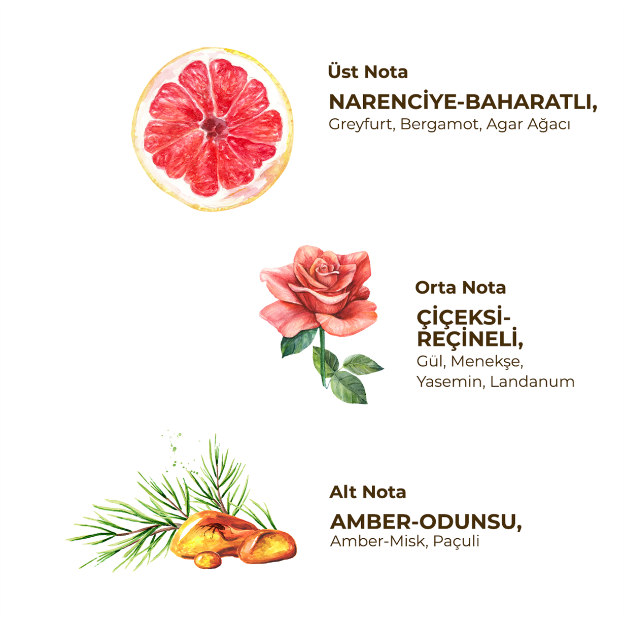 Lamdbrouse Oud Parfümlü Kolonya 100 ml - Cam Şişe