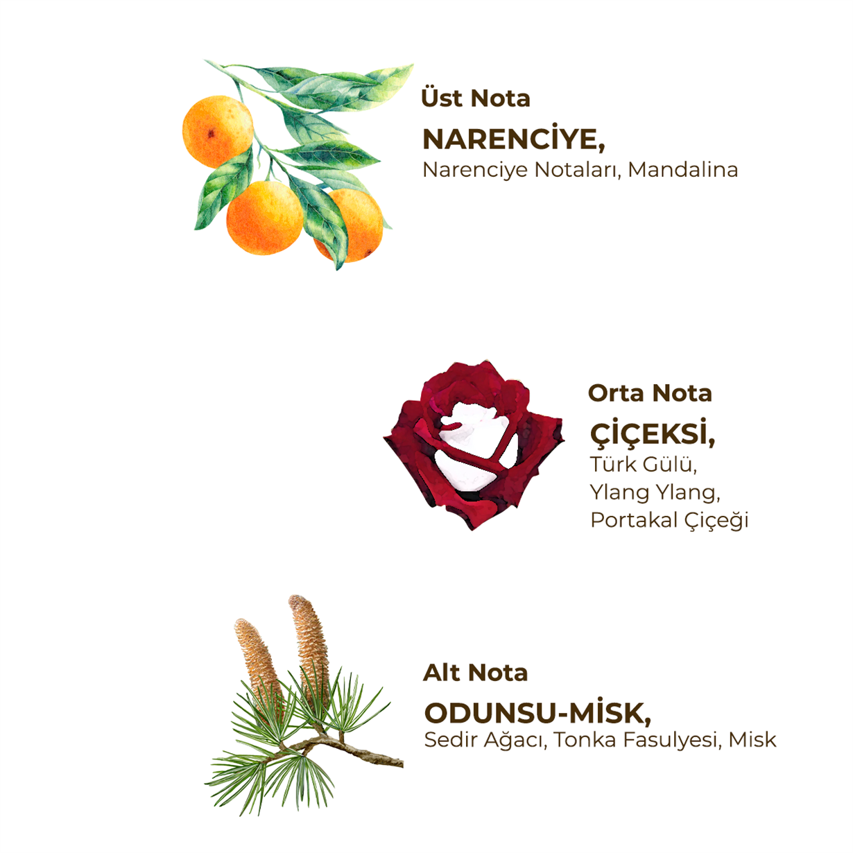 Maidens Tower 150 ml Eau De Cologne - Cam Şişe