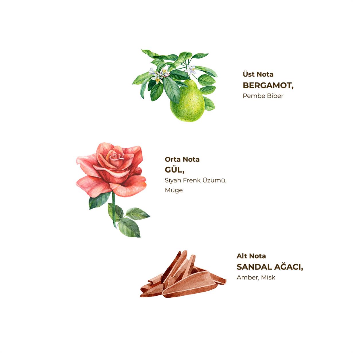 Manolya Çiçeği Kolonyası 400 ml - Cam Şişe