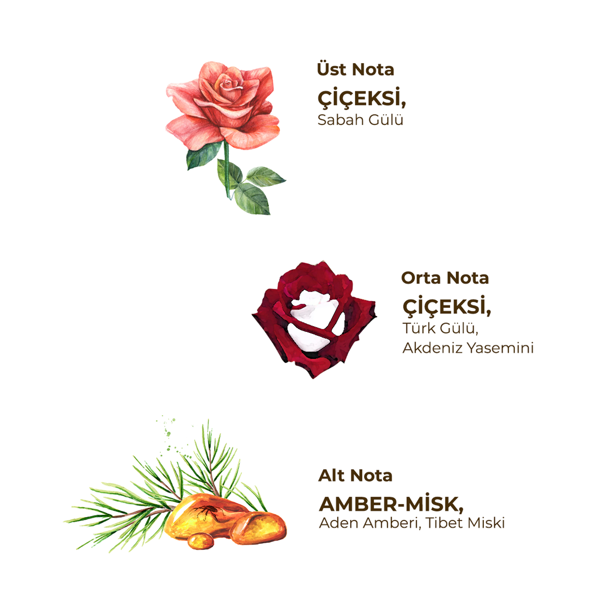 Millions Of Roses Eau De Cologne 150 ml