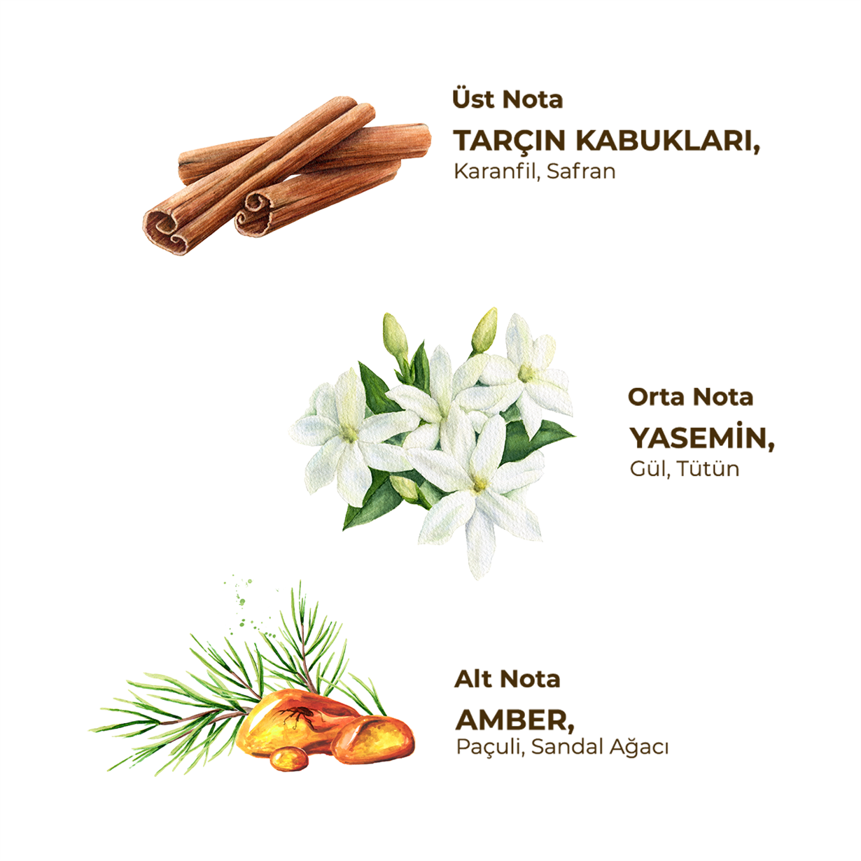 Night Oud Kolonyası 185 ml - Cam Şişe