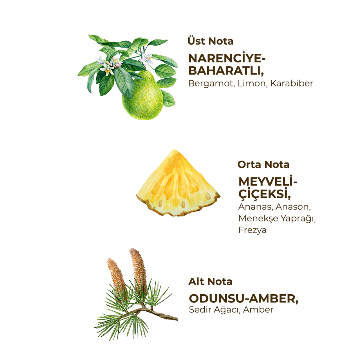 Ocean Brezee Eau De Cologne 150 ml