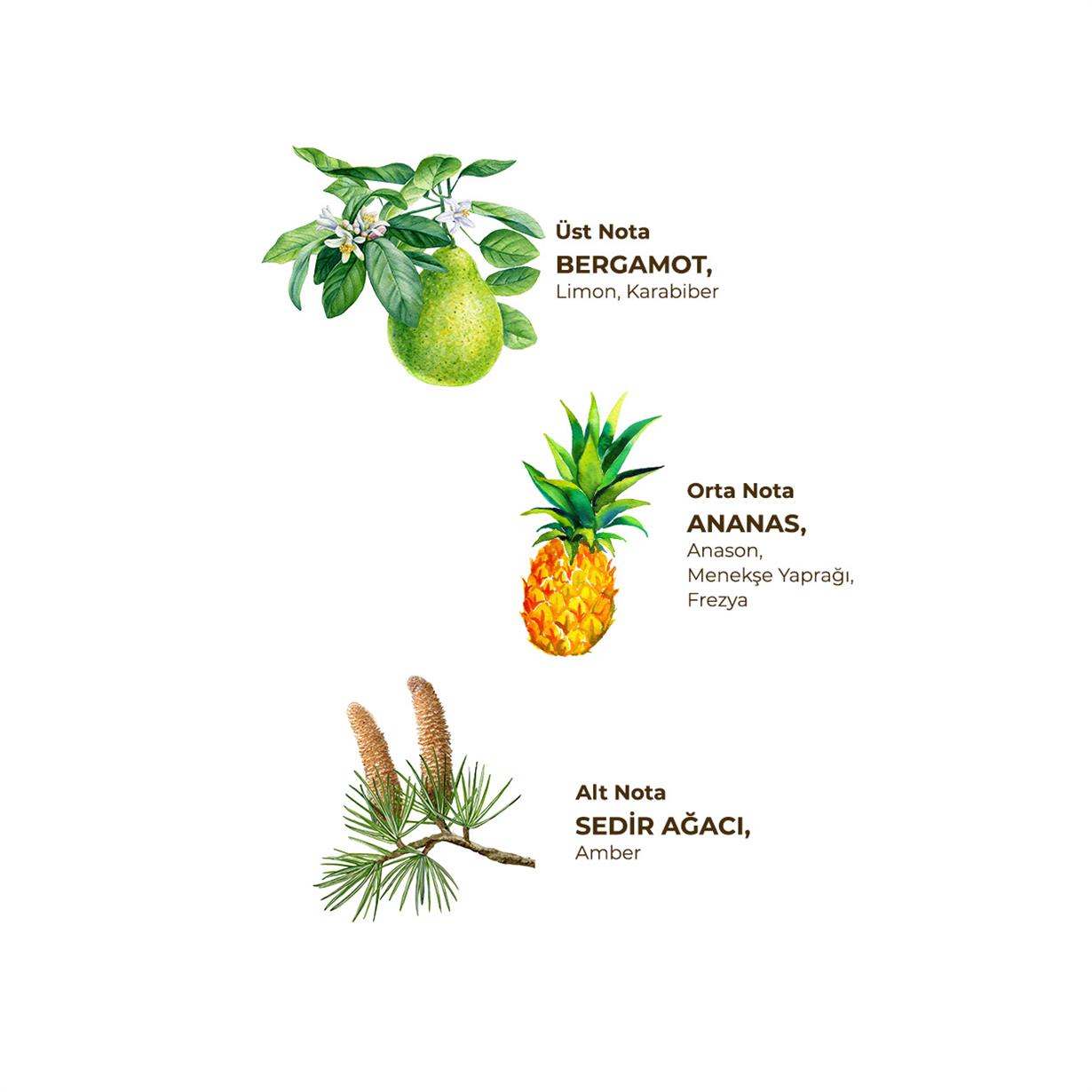 Okyanus 150 ml Sprey Kolonya - Pet Şişe