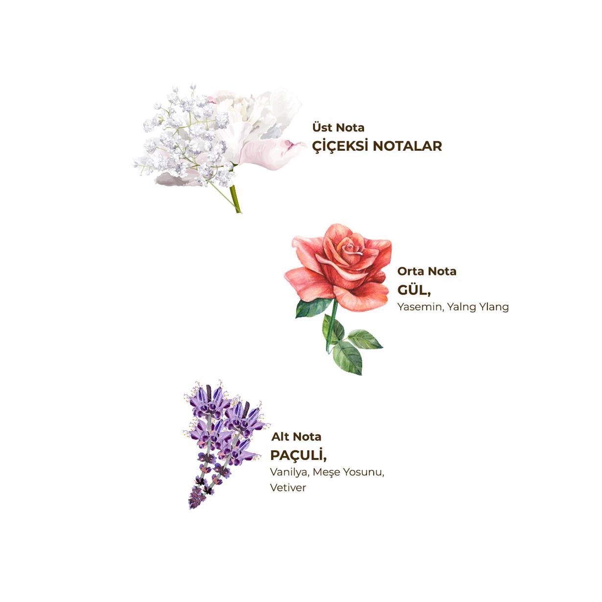 Paris Gecesi Kolonyası 400 ml - Cam Şişe