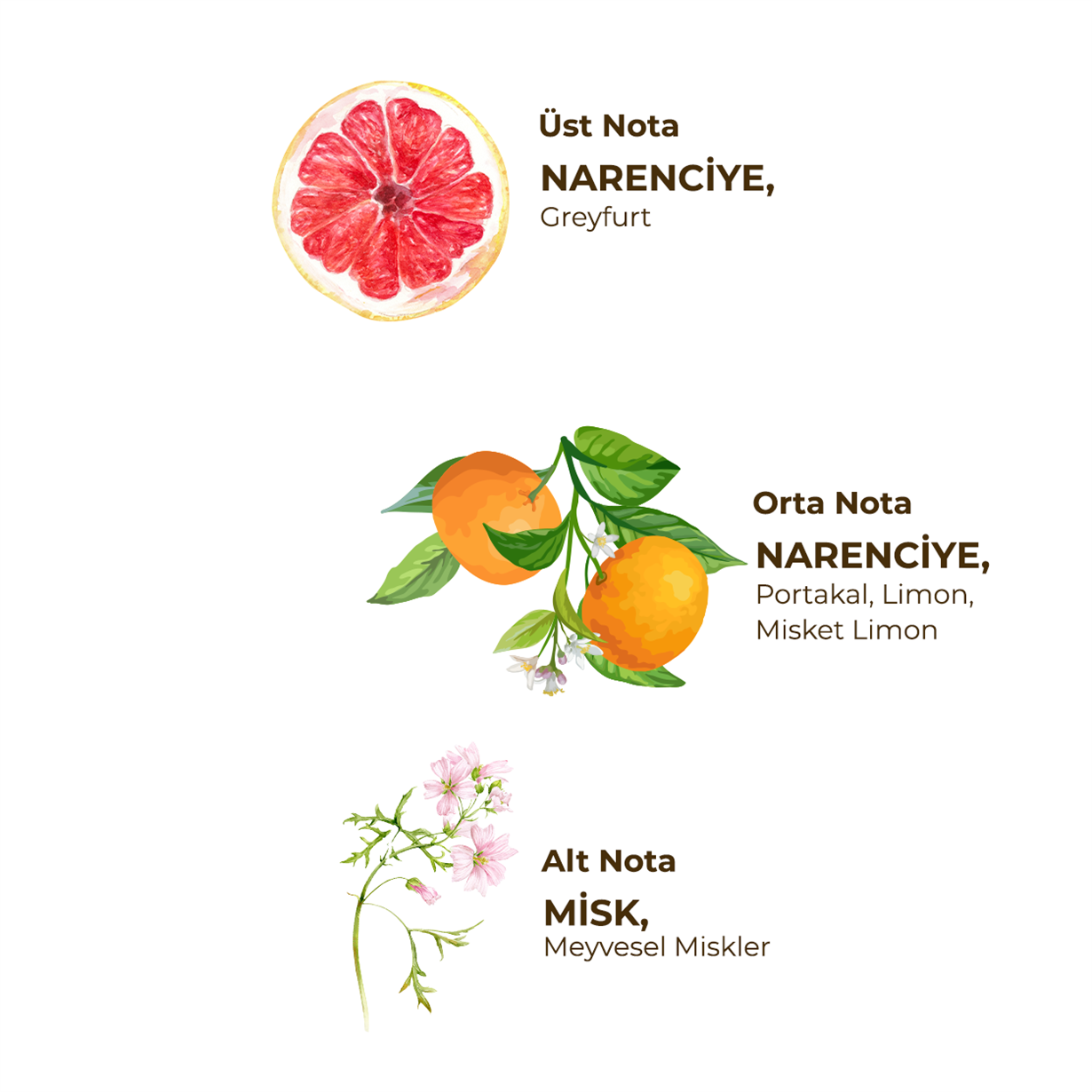 Pink Grapefruit Eau De Cologne 150 ml