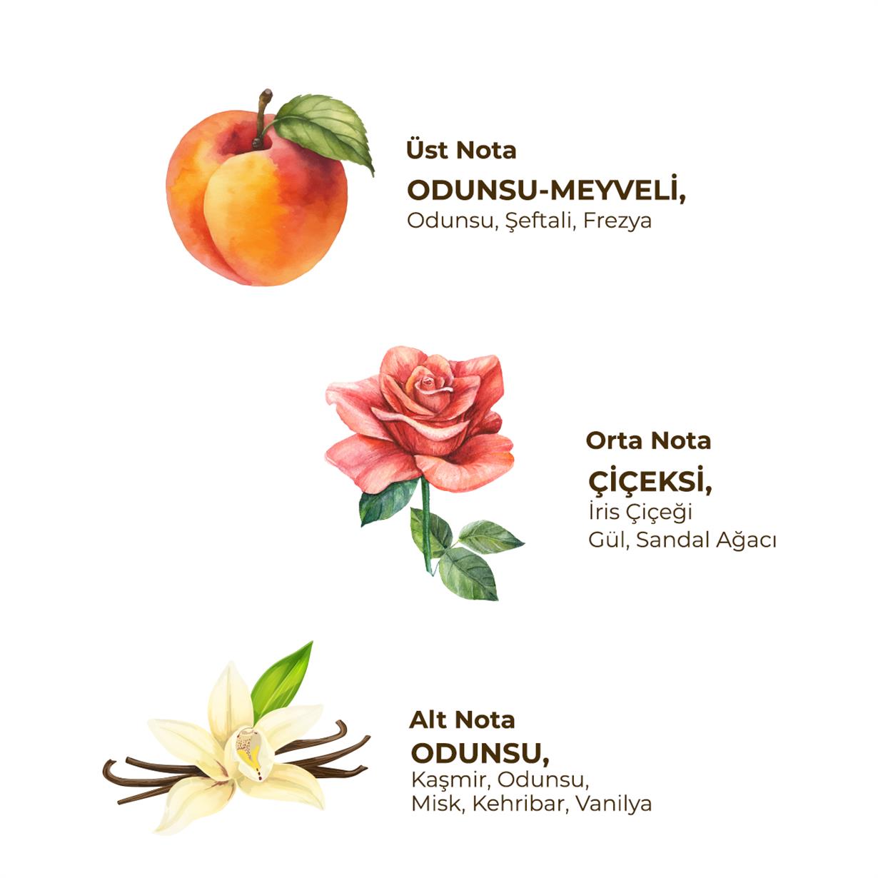 ROLL ON DEODORANT-SOFT (KADIN) 75 ML