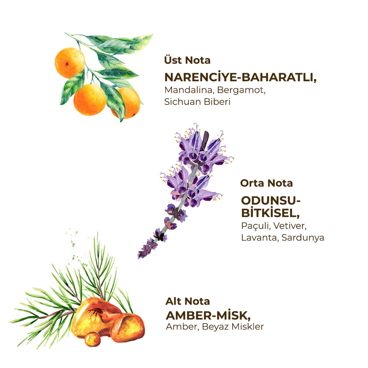 ROLL ON DEODORANT-SPORT (ERKEK) 75 ML