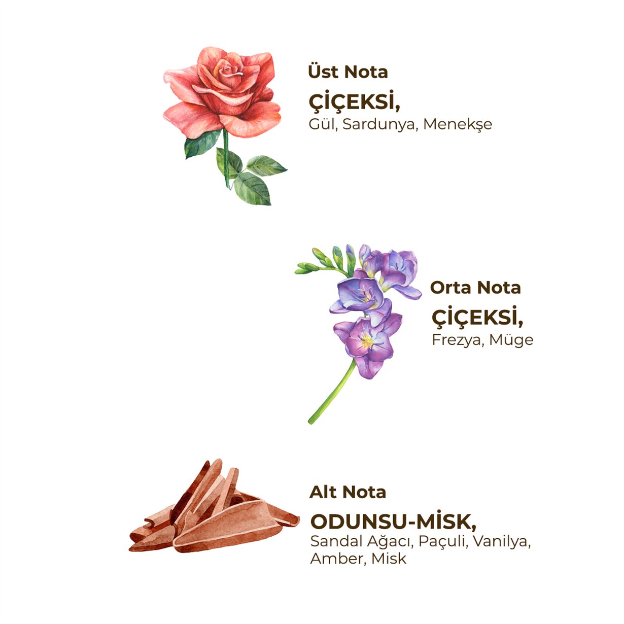 Sultan Ahmet 150 ml Eau De Cologne - Cam Şişe