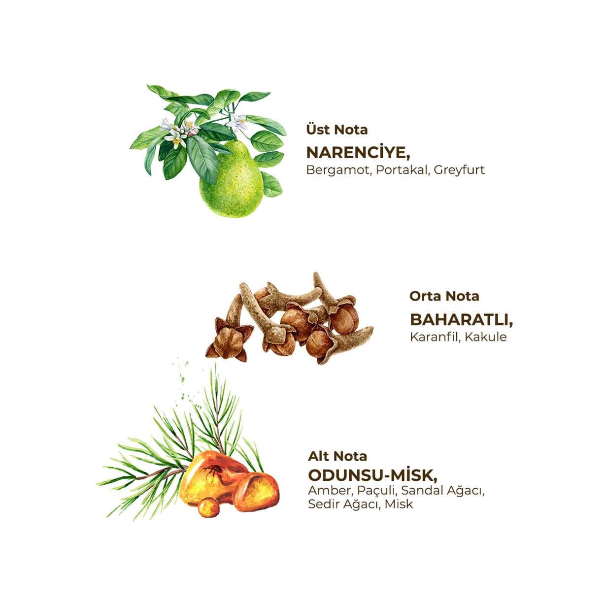 Tangerine 300 ml Eau De Cologne - Pet Şişe