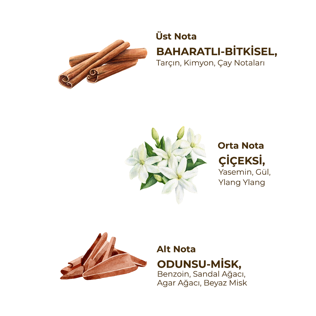 Topkapı Palace 150 ml Eau De Cologne - Cam Şişe